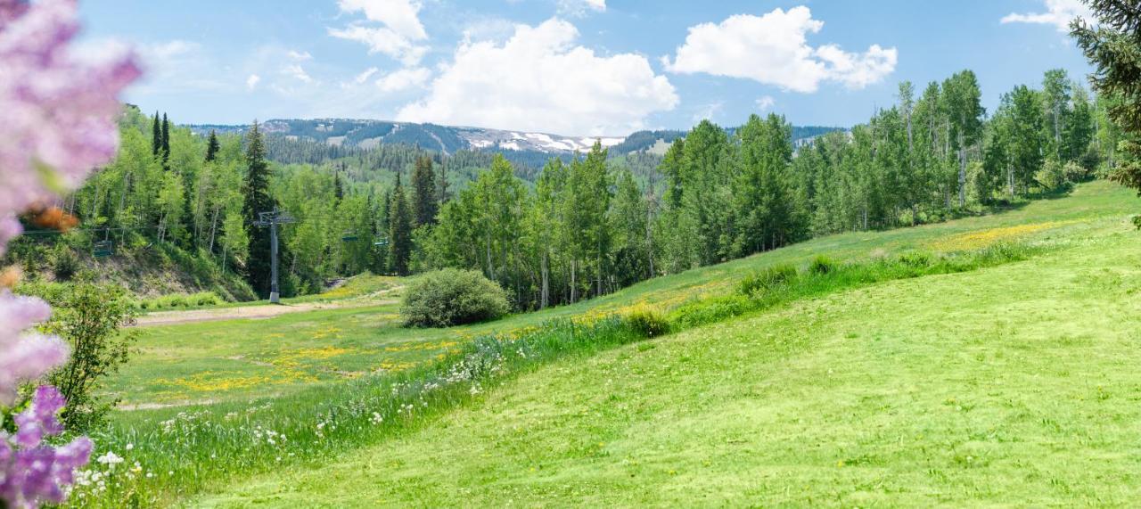 Laurelwood Condominiums 401 Snowmass Village Ngoại thất bức ảnh